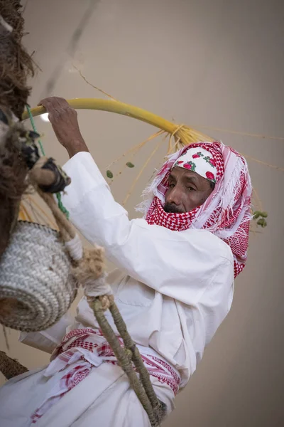Buraydah Saudi Arabien August 2023 Saudi Mann Sammelt Datteln Für — Stockfoto