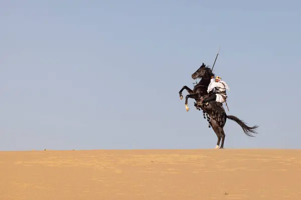 Arabia Saudyjska Jeździ Czarnym Ogierze Pustyni — Zdjęcie stockowe