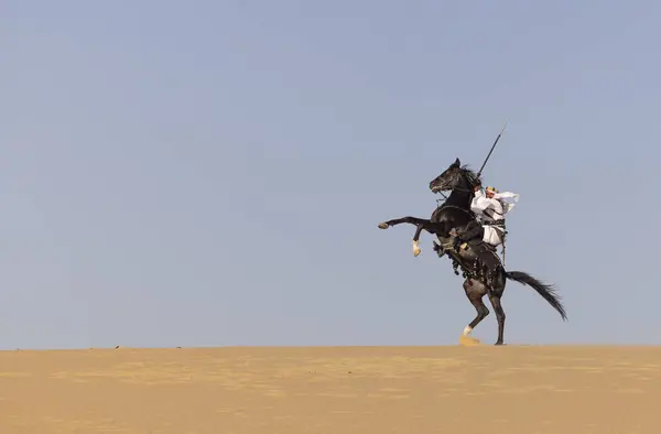 Саудовец Пустыне Своим Черным Жеребцом Летящим Полной Скорости Держа Стрелу — стоковое фото