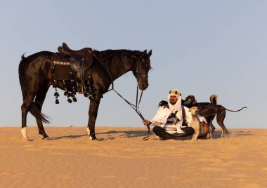 Geleneksel Suudi Arabistan giysileri içinde siyah bir aygır ve av köpekleri olan bir adam.