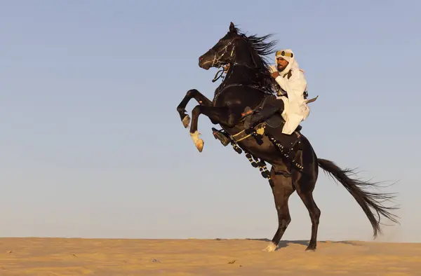Hombre Con Ropa Tradicional Arabia Saudita Desierto Con Semental Negro Imagen De Stock