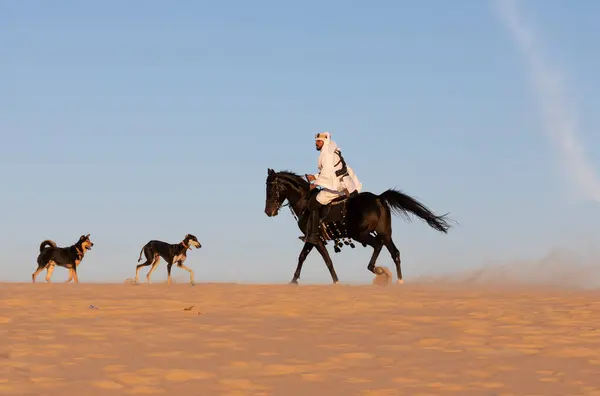 沙乌地阿拉伯人穿着传统衣服 头戴黑马和黑狗的沙漠 — 图库照片