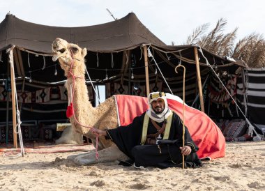 Bedouin man with his falcon and camel resting in front of his tent clipart