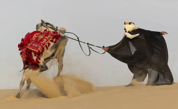 Saudyjczyk Tradycyjnej Odzieży Białym Ogierem Obrazek Stockowy