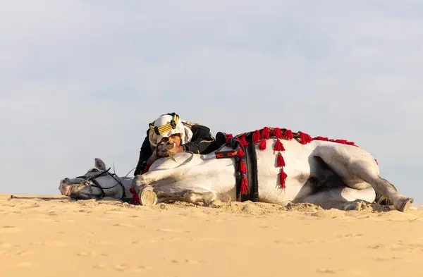 Saudyjczyk Tradycyjnej Odzieży Białym Ogierem Celujący Strzelbę Myśliwską Zza Konia Zdjęcie Stockowe