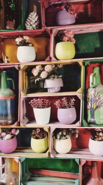 Çiçek saksılarında renkli plastik çiçekler, boyalı şişeler ve ahşap raflarda dizilmiş kurumuş kozalaklar.