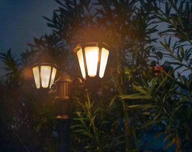  Geceleyin oleaguum ağaçlarında parlayan nostaljik sokak ışıkları