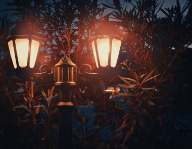 Geceleyin oleaguum ağaçlarında parlayan nostaljik sokak ışıkları
