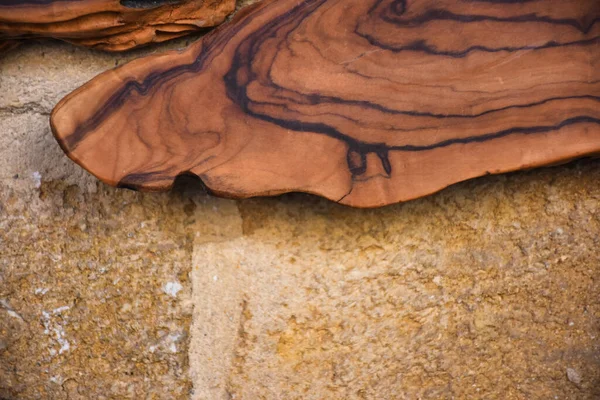 Der Baumstumpf Mit Ästen Und Mustern Auf Einem Marmorboden — Stockfoto