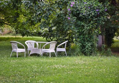 Boş ve beyaz bahçe masası ve sonbaharda bahçede sandalyeler. Bahçe mobilyaları.