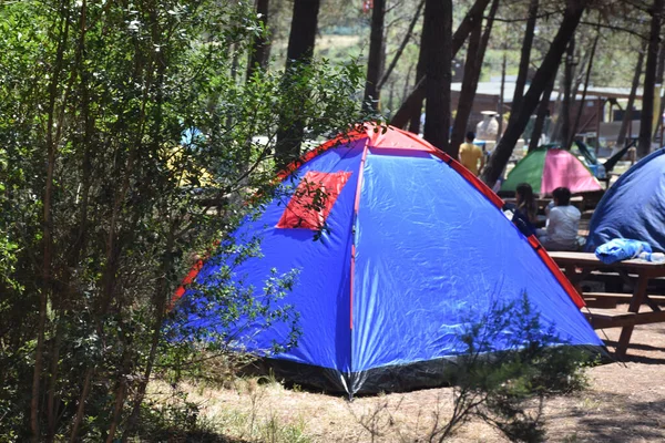 Tiendas Instaladas Camping Siluetas Niños Sentados Bancos Hatha Naturaleza —  Fotos de Stock