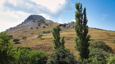  Vadinin yamacında çeşitli ağaçlar olan heybetli bir volkanik dağ ve gökyüzü bulutu manzarası