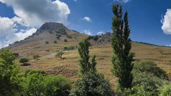 Landschaft Eines Imposanten Vulkanischen Berges Und Himmelswolke Mit Verschiedenen Bäumen — Stockfoto