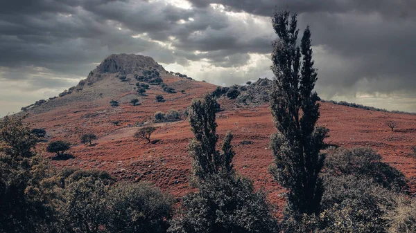 Krajina Impozantní Sopečné Hory Mrak Oblohy Různými Stromy Svahu Údolí — Stock fotografie
