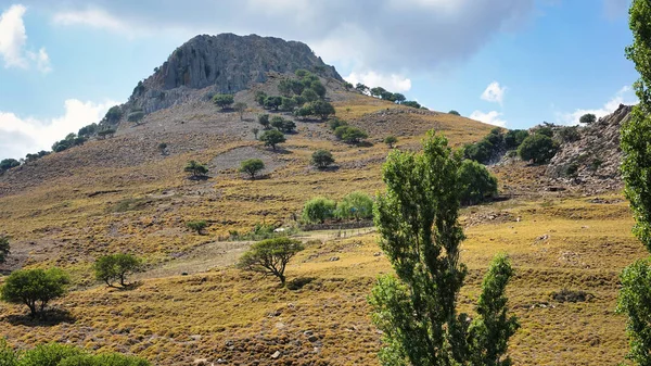 Vadinin Yamacında Çeşitli Ağaçlar Olan Heybetli Bir Volkanik Dağ Gökyüzü — Stok fotoğraf