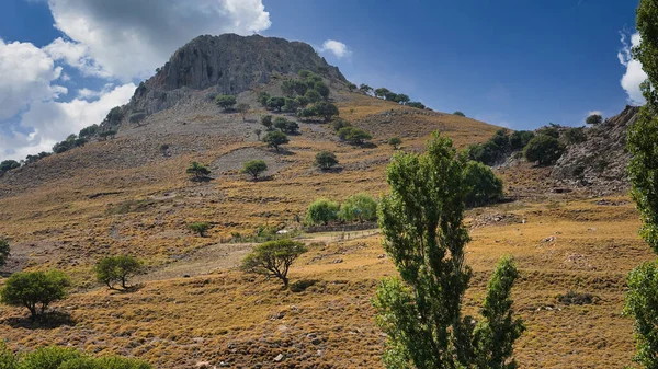 一座壮观的火山和天空云彩的景观 山谷的斜坡上长满了各种树 — 图库照片