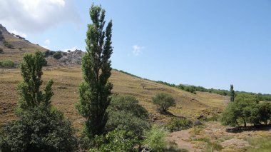 Kavak ağaçları, çeşitli ağaçlar, berrak gökyüzü ve yeşil bir vadinin yamacındaki kayalıklar. Gökceada 'da tarım ve ormanlardaki bakir topraklar. tarımturizm