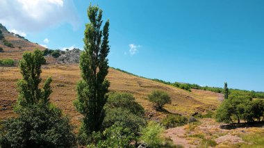 Kavak ağaçları, çeşitli ağaçlar, berrak gökyüzü ve yeşil bir vadinin yamacındaki kayalıklar. Gökceada 'da tarım ve ormanlardaki bakir topraklar. tarımturizm