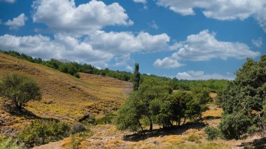 Kavak ağaçları, çeşitli ağaçlar, bulutlar ve yeşil bir vadinin yamacındaki kayalıklar. Gökceada 'da tarım ve ormanlardaki bakir topraklar. tarımturizm