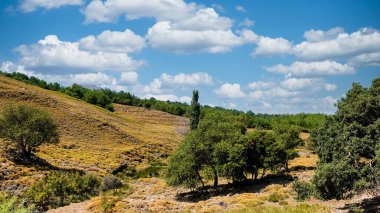 Kavak ağaçları, çeşitli ağaçlar, bulutlar ve yeşil bir vadinin yamacındaki kayalıklar. Gokeada 'da tarım ve ormanlardaki bakir topraklar. tarımturizm