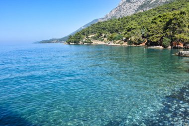 Akyaka Akbuk bay view in Mugla Turkey. Beautiful, landspace, sea, forest and sands in mugla, akbuk, turkey. The photo can use for wallpaper or background . It also can use for travel bussiness.