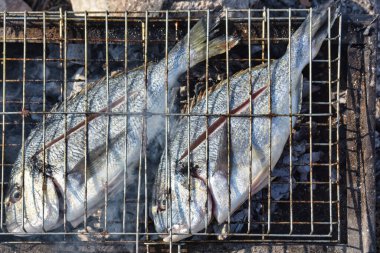 Close up view of fresh sea breams fish on grill.