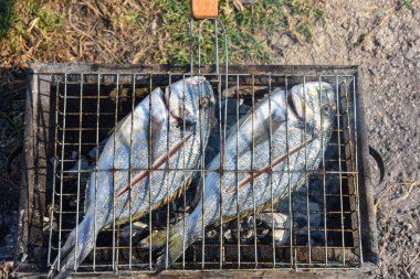 Close up view of fresh sea breams fish on grill. 