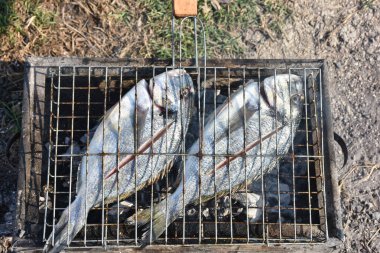 Close up view of fresh sea breams fish on grill. 