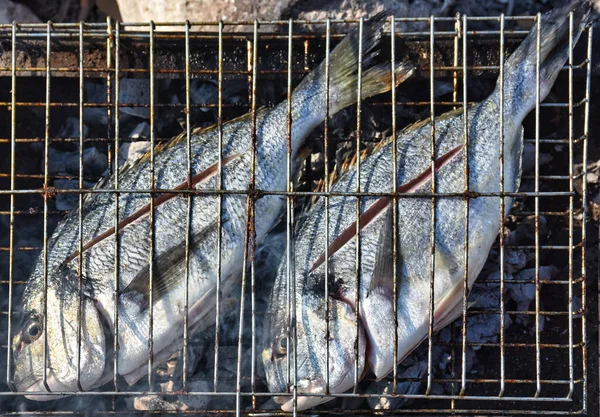 Close up view of fresh sea bream fish on grill.