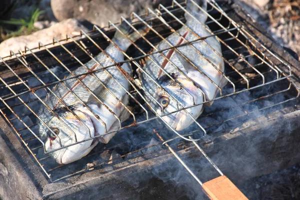 Close up view of fresh sea breams fish on grill.