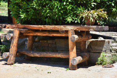 Easter cactus (Hatiora gaertneri) on a wooden table made from natural wood logs