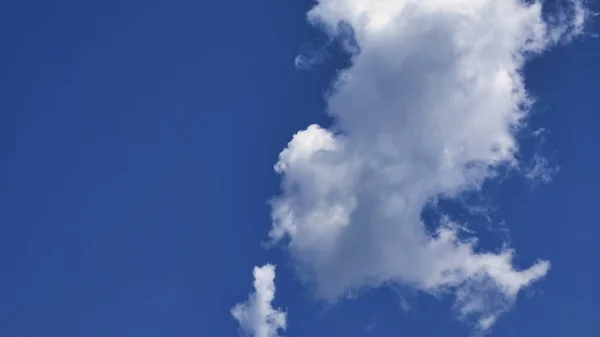 A big vertical white cloud in a single cluster in a clear sky. Cloud cluster can be used for graphic works and resource