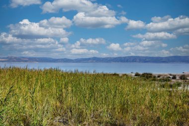 Shore view of a salt lake with reeds in the foreground, mountains and clouds in the sky. Lake wallpaper