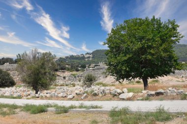 Patara Ruins, Lycia, Turkey. Patara, the capital of ancient Lydia, was a maritime and commercial city. Patara has beaches where the Mediterranean turtles Caretta-Caretta have laid their eggs.