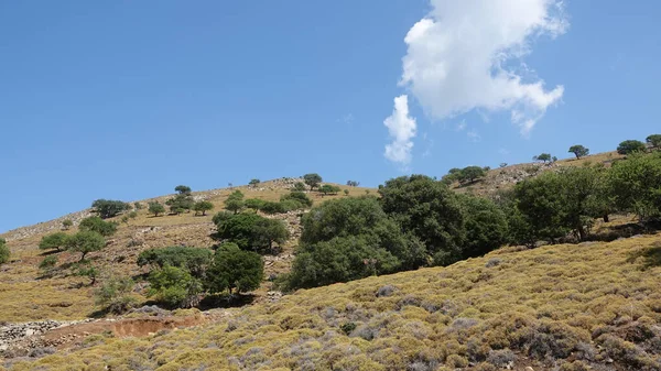 view of a Cloud cluster standing vertically on a clear blue sky with maquis,  trees, greenery on the mountain in a Aegean village