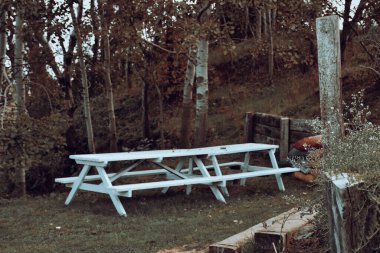 A white wooden bench with white long table in the forest. Place for the rest and relax in park. Old outdoor furniture. Autumn concept.