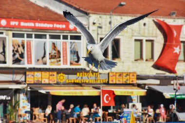 Foca, Izmir, Turkey 29 Jun 2021.  A big seagull spreading its wings above the boats in the historical port of Izmir Foa and restaurants along the harbor, Turkish flag, silhouettes of tourists