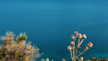 Assos anakkale Troias coastline, Aegean herbs, scrub vegetation in the mountains in summer and a clear sky. Aegean seacape, landcape.