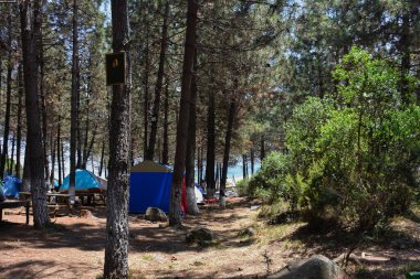 Tents set up at a campsite in the forest, a chalkboard for notice or warning on a tree. Text can be added to the chalkboard.