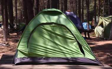 Close-up view of a tent at the campsite in the forest and behind it other small tents and tall trees