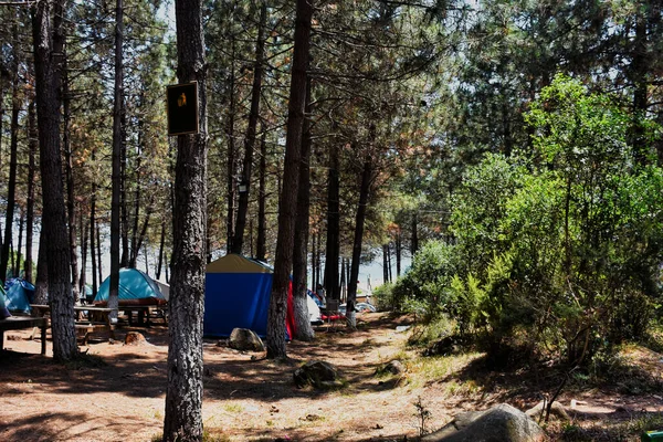 Tents set up at a campsite in the forest, a chalkboard for notice or warning on a tree. Text can be added to the chalkboard.