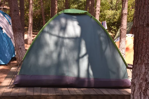 Close-up view of a tent at the campsite in the forest and behind it other small tents and tall trees