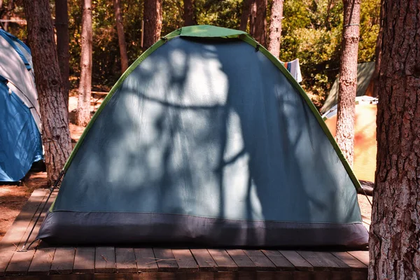 Close-up view of a tent at the campsite in the forest and behind it other small tents and tall trees