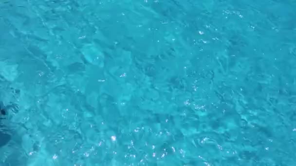 Seorang Gadis Berenang Bawah Air Kolam Renang — Stok Video