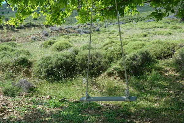 A garden swing tied to the branches of  trees  in meadow. Romantic rural scene