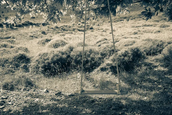 Garden Swing Tied Branches Trees Meadow Romantic Rural Scene — Stock Photo, Image