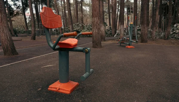 Gimnasio Aire Libre Parque Público Con Equipamiento Deportivo Madera Equipo — Foto de Stock