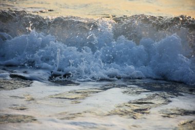 Deniz dalgaları kıyıya çarpıyor. Kumda vahşi beyaz deniz köpükleri 