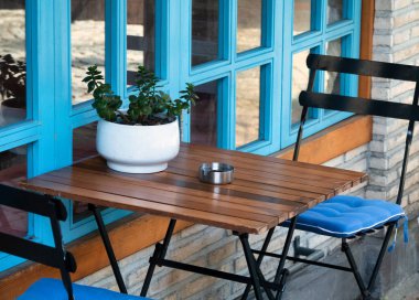 Masanın üzerinde saksı çiçeği olan klasik dekore edilmiş Akdeniz kafeteryası manzarası. Klasik klasik kahve dükkanı.