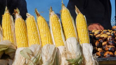 İstanbul 'da tezgahta bir sürü taze mısır koçanı var. Taze haşlanmış ve kavrulmuş mısır, İstanbul, Türkiye 'nin ünlü sokak yiyeceğidir. Kavrulmuş ızgara mısır koçanda, Rustik Sokak Yemeği.